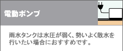 �d���|���v