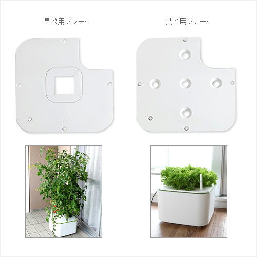 水耕栽培キット シップスレインワールド