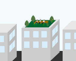 屋上緑化と学校